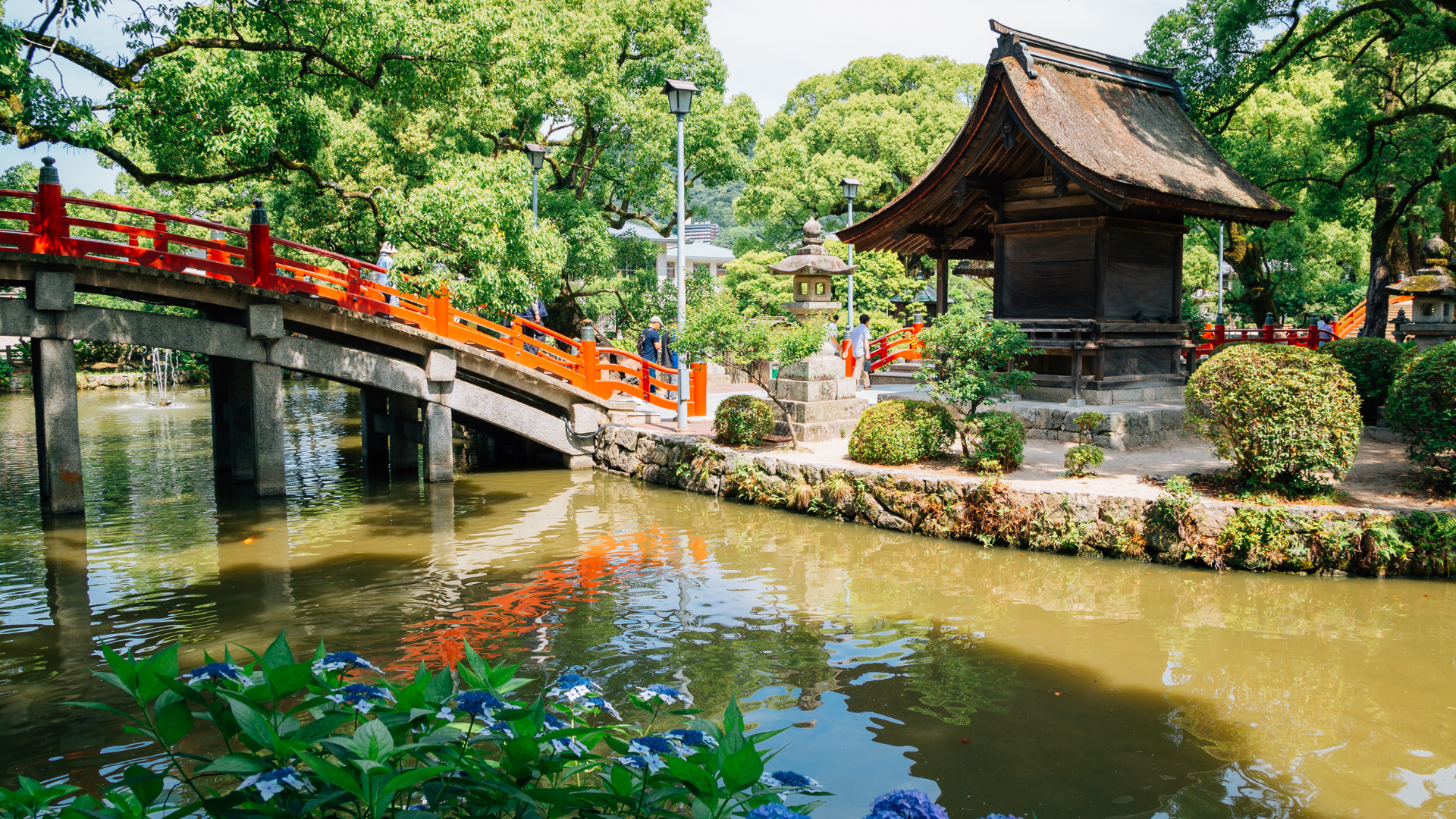 10 Days Kyushu Nature Retreat